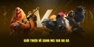 Bí Quyết Thắng Lớn Với Đá Gà WS168 Tại King88 Đỉnh Cao Giải Trí