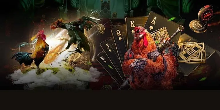 Cách Chơi Đá Gà GA28 Tại King88 Trải Nghiệm Kịch Tính Giải Trí Đỉnh Cao 2 Cách Chơi Đá Gà GA28 Tại King88 Trải Nghiệm Kịch Tính Giải Trí Đỉnh Cao