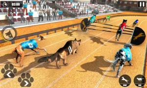 Chinh Phục Game Nhanh Đua Chó King88 Với Chiến Thuật Đỉnh Cao