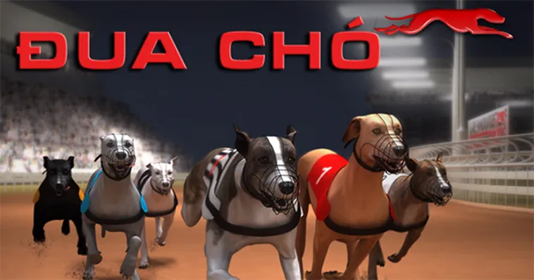 Chinh Phục Game Nhanh Đua Chó King88 Với Chiến Thuật Đỉnh Cao 2 Chinh Phục Game Nhanh Đua Chó King88 Với Chiến Thuật Đỉnh Cao